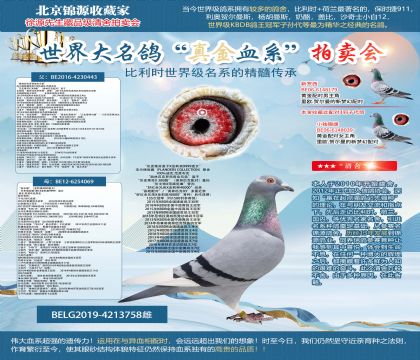 ���m���ղ�ԭ�ᡰ�W��ƥ���_����ȫ�ֵܡ�X���@ʯ�ۡ�