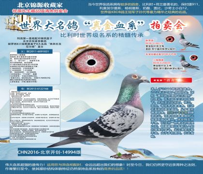 ���W��һ���A(ch��)�䌦����X�᠖˹ֱŮ16-14994��