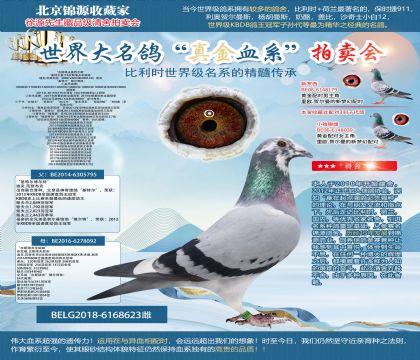 �Ͽ�.���ǲ���ԭ��-�����ؠ������ء�X����˹����ȫ���á�