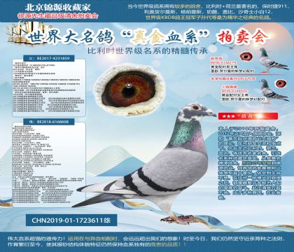 ���ؠ�ֱ��X�W��ƥ�˻��ؠ�006ֱŮ19-1723611��