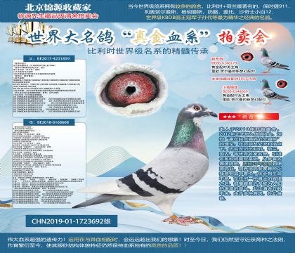 ���ؠ�ֱ��X�W��ƥ�˻��ؠ�006ֱŮ19-1723692��