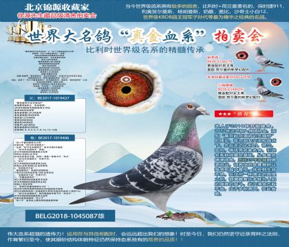 �ϻ�-�����Kԭ��-ͬ݅������С����ѻ��ؠ���