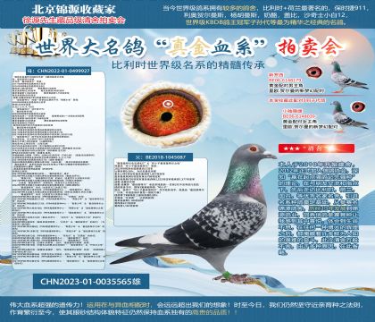 ��ѻ��ؠ�087ֱ��23-0035565��