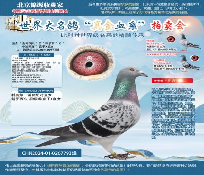 �u݆�_��24-0267793��