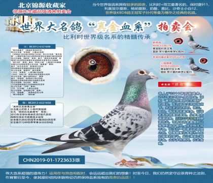 ���W������X����19-1723633��