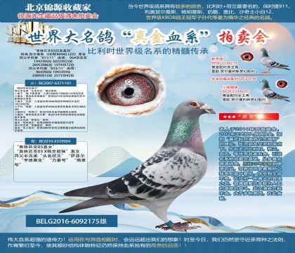 ���Wԭ��-���W��ƥ��03��Ѫֱ�O��