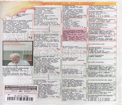 原始血統(tǒng)書