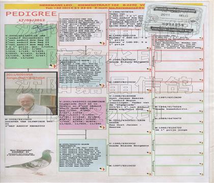 原始血統(tǒng)書(shū)