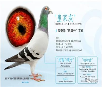 �����ʼһ�