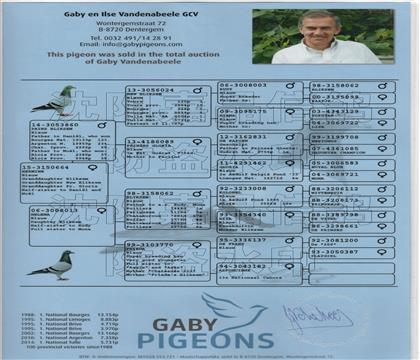 ԭʼѪ�y(t��ng)��