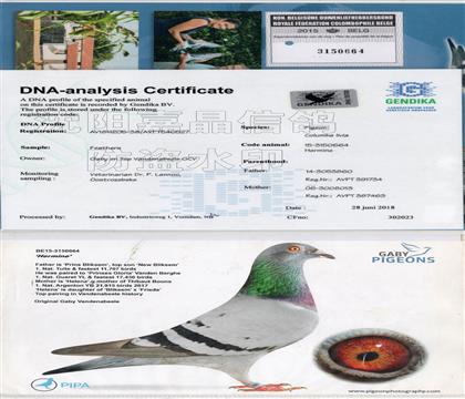 DNA���m(x��)