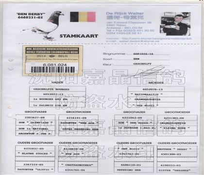 ԭʼѪ�y(t��ng)��