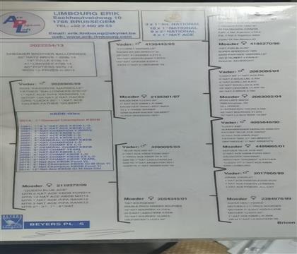 原始血統(tǒng)書