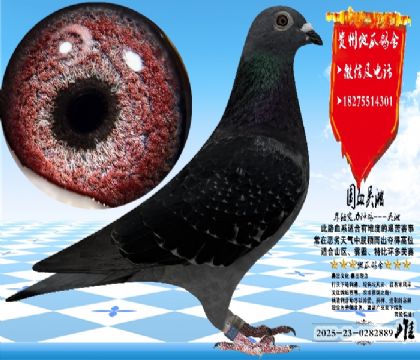 ��(sh��)��(zh��n)�������N���һ�