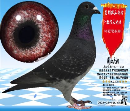 ��(sh��)��(zh��n)�������N