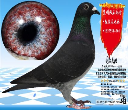 ��(sh��)��(zh��n)�������N���һ���