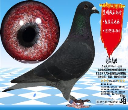 ��(sh��)��(zh��n)�������N���һ���