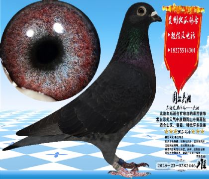 ��(sh��)��(zh��n)�������N�A�^