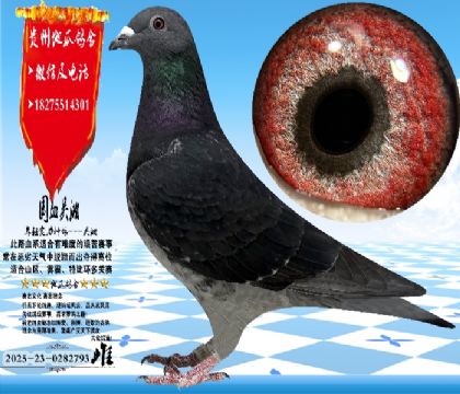 ��(sh��)��(zh��n)�������N