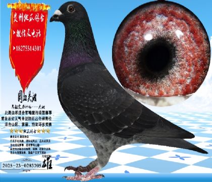 ��(sh��)��(zh��n)�������N