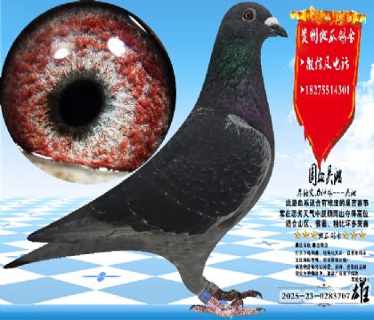 ��(sh��)��(zh��n)�������N