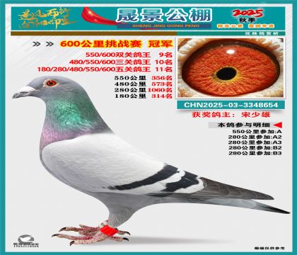 �ɾ�����(zh��n)ِ��܊(�����p�P(gu��n)9�����P(gu��n)10�����P(gu��n)11��)