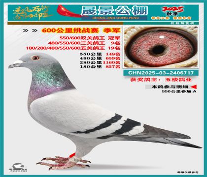 �ɾ�����(zh��n)ِ��܊(�����p�P(gu��n)��܊���P(gu��n)9�����P(gu��n)19��)