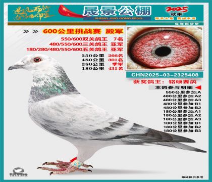 �ɾ�����(zh��n)ِ��܊(�����p�P(gu��n)7�����P(gu��n)��܊���P(gu��n)��܊)