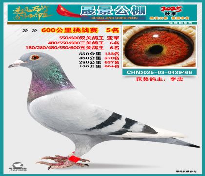 �ɾ�����(zh��n)ِ5��(�����p�P(gu��n)��܊���P(gu��n)6�����P(gu��n)6��)