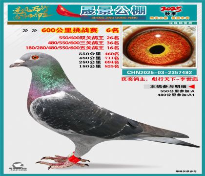 �ɾ�����(zh��n)ِ6��(�����p�P(gu��n)26�����P(gu��n)36�����P(gu��n)16��)