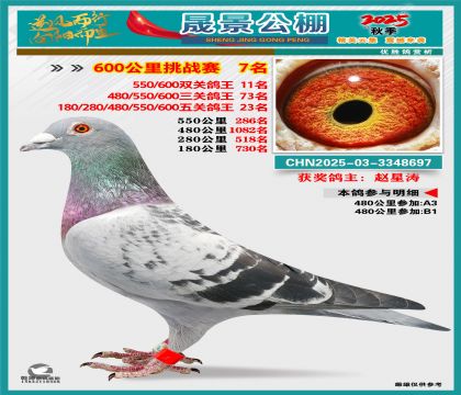 �ɾ�����(zh��n)ِ7��(�����p�P(gu��n)11�����P(gu��n)23��)