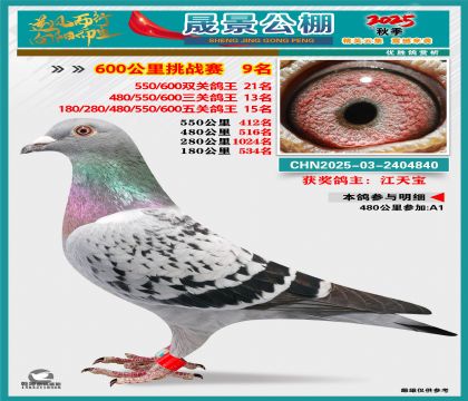 �ɾ�����(zh��n)ِ9��(�����p�P(gu��n)21�����P(gu��n)13�����P(gu��n)15��)