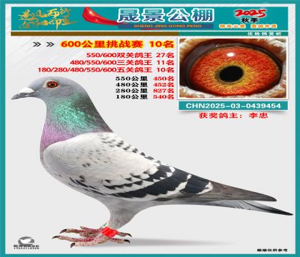 �ɾ�����(zh��n)ِ10��(�����p�P(gu��n)27�����P(gu��n)11�����P(gu��n)10��)