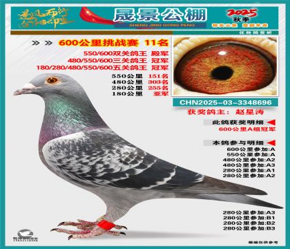 �ɾ�����(zh��n)ِ11��(�����p�P(gu��n)��܊���P(gu��n)��܊���P(gu��n)��܊)