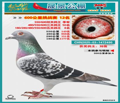 �ɾ�����(zh��n)ِ12��(�����p�P(gu��n)��܊���P(gu��n)50�����P(gu��n)8��)