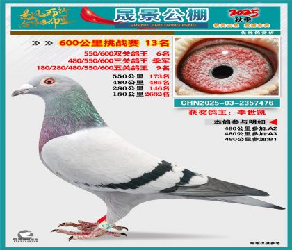 �ɾ�����(zh��n)ِ13��(�����p�P(gu��n)6�����P(gu��n)��܊���P(gu��n)9��)