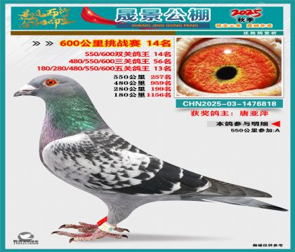 �ɾ�����(zh��n)ِ14��(�����p�P(gu��n)14�����P(gu��n)13��)