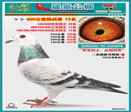 �ɾ�����(zh��n)ِ15��(�����p�P(gu��n)28�����P(gu��n)12�����P(gu��n)12��)