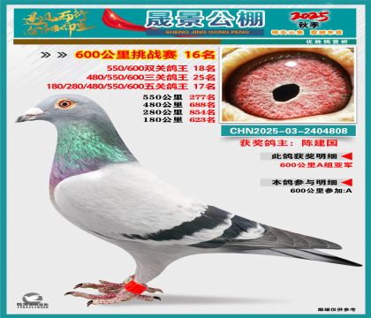 �ɾ�����(zh��n)ِ16��(�����p�P(gu��n)18�����P(gu��n)25�����P(gu��n)17��)