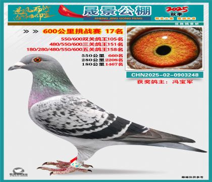 �ɾ�����(zh��n)ِ17��