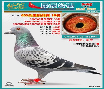 �ɾ�����(zh��n)ِ18��(�����p�P(gu��n)35��)