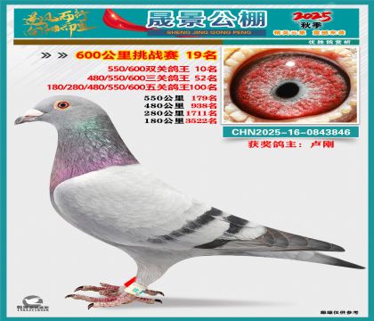 �ɾ�����(zh��n)ِ19��(�����p�P(gu��n)10��)