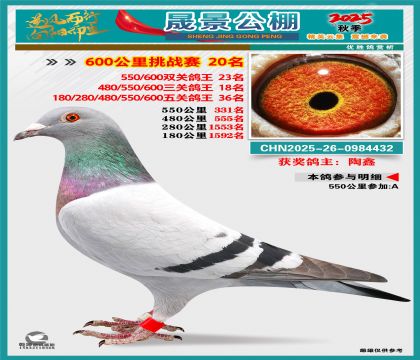 �ɾ�����(zh��n)ِ20��(�����p�P(gu��n)23�����P(gu��n)18�����P(gu��n)36��)