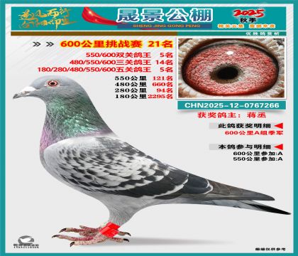 �ɾ�����(zh��n)ِ21��(�����p�P(gu��n)5�����P(gu��n)14�����P(gu��n)5��)