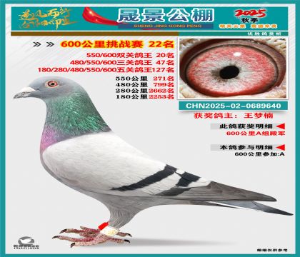 �ɾ�����(zh��n)ِ22��(�����p�P(gu��n)20�����P(gu��n)47��)