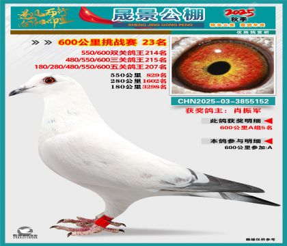 �ɾ�����(zh��n)ِ23��