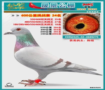 �ɾ�����(zh��n)ِ24��(�����p�P(gu��n)25�����P(gu��n)27�����P(gu��n)18��)