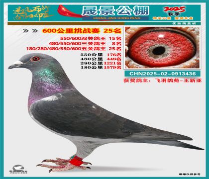 �ɾ�����(zh��n)ِ25��(�����p�P(gu��n)15�����P(gu��n)8�����P(gu��n)25��)