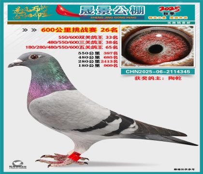 �ɾ�����(zh��n)ِ26��(�����p�P(gu��n)33�����P(gu��n)38��)