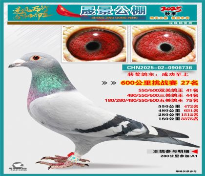 �ɾ�����(zh��n)ِ27��